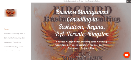 Firebird Business Consulting Ltd 