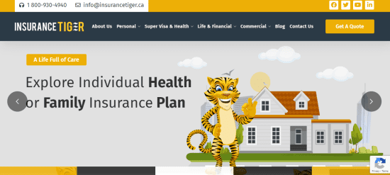 Insurance Tiger 
