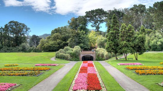 Golden Gate Park