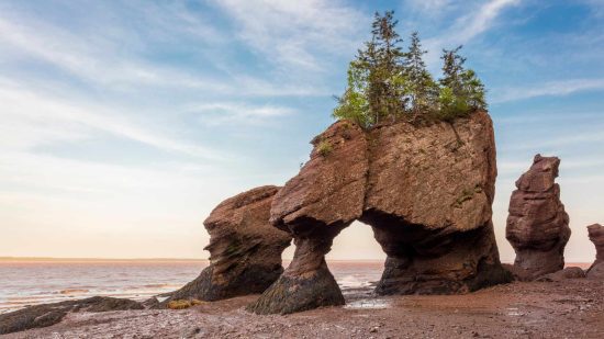 Hopewell Rocks