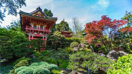 Japanese Tea Garden