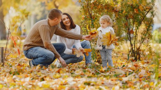 Take a Stroll in Collingwood Arboretum