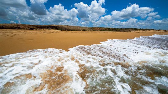 Tidal Bore Viewing