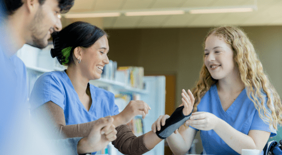 What is a Licensed Practical Nurse